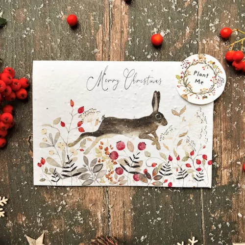 Plantable Seed Christmas Card, Illustrated Card For Christmas, Rabbit