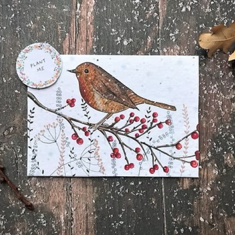 Plantable Seed Christmas cards, Illustrated Card For Christmas, Robin