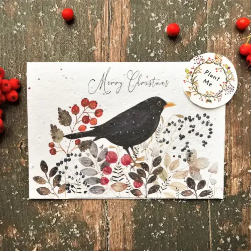 Plantable Seed Christmas Card, Illustrated Card For Christmas, Blackbird