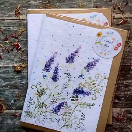 Plantable Seed Greeting Card Floral Notes, Birthdays and Occasions, Blank Inside