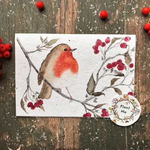 Plantable Seed Christmas Card, Illustrated Card For Christmas, Robin Red Breast